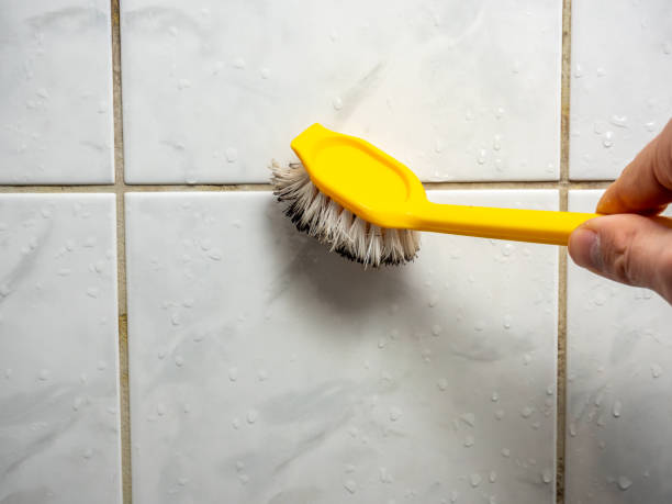 Best Best Mold Removal Companies  in Coronita, CA
